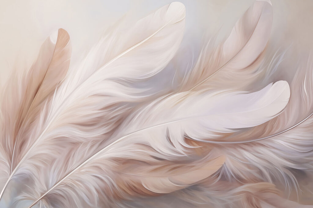 Plumas suaves en rosa — diseño completo