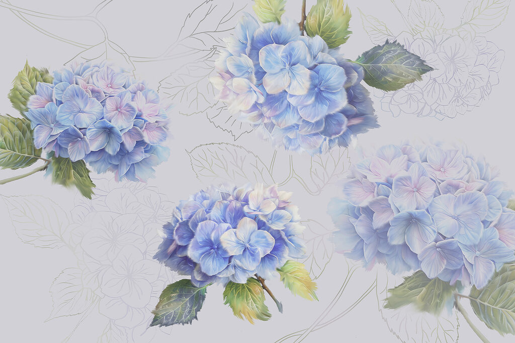 Hortensias con hojas dibujadas — diseño completo