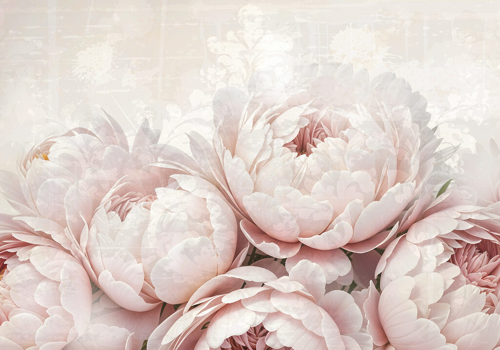 Peonías rosa pálido — diseño completo