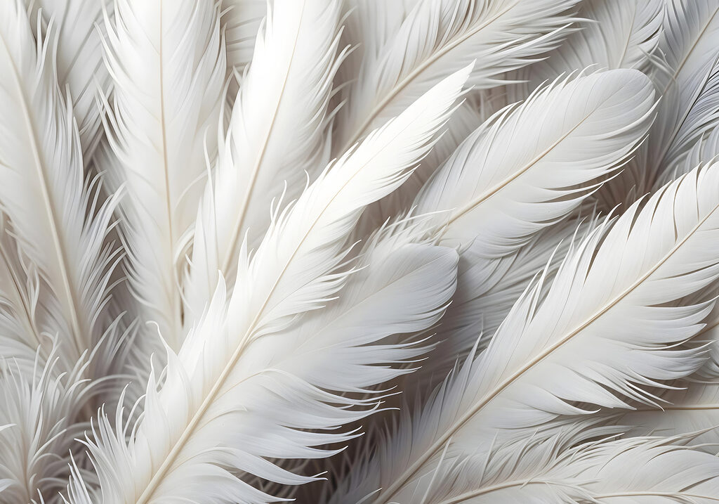 Plumas diagonales con sombra — diseño completo