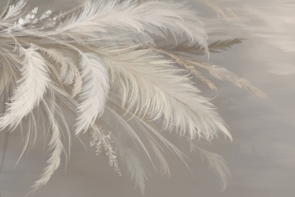 Plumas en sombra crema — diseño completo