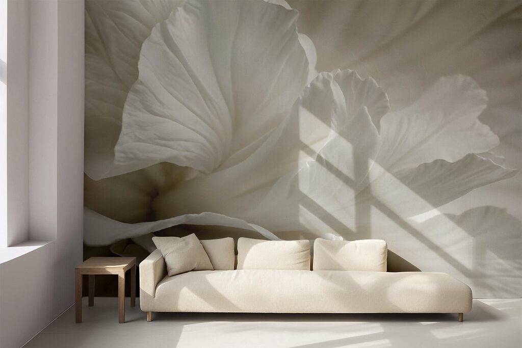 Flor blanca de cerca — interior 5