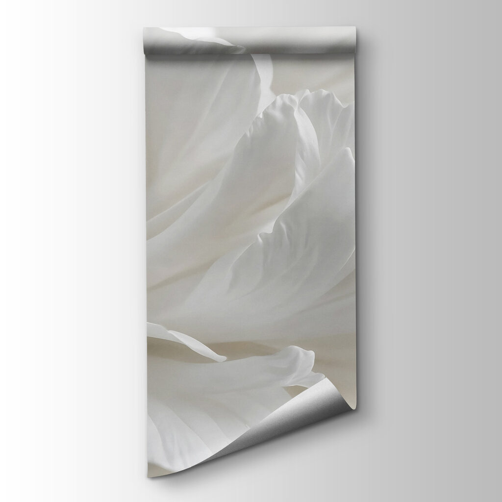 Flor blanca de cerca — vista del producto