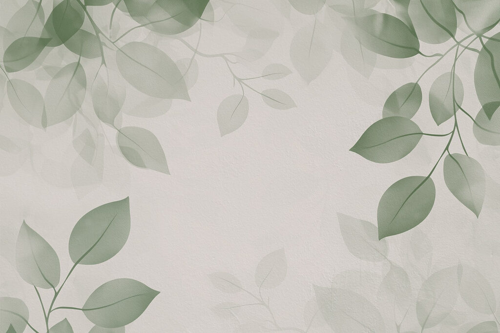 Marco de hojas transparentes — diseño completo