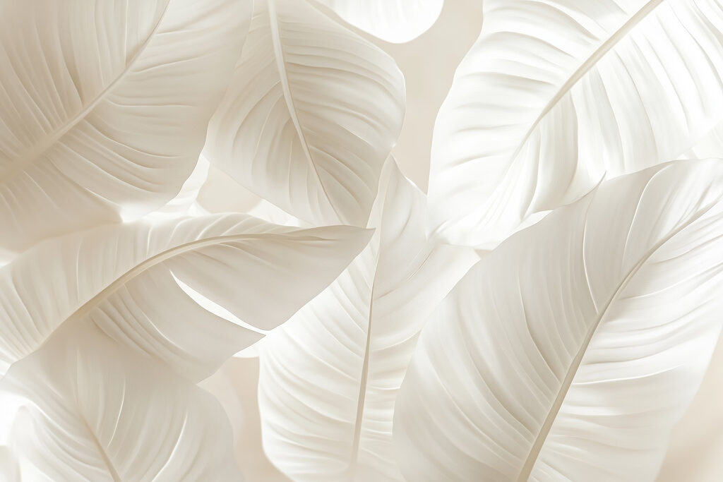 Luz entre hojas blancas — diseño completo