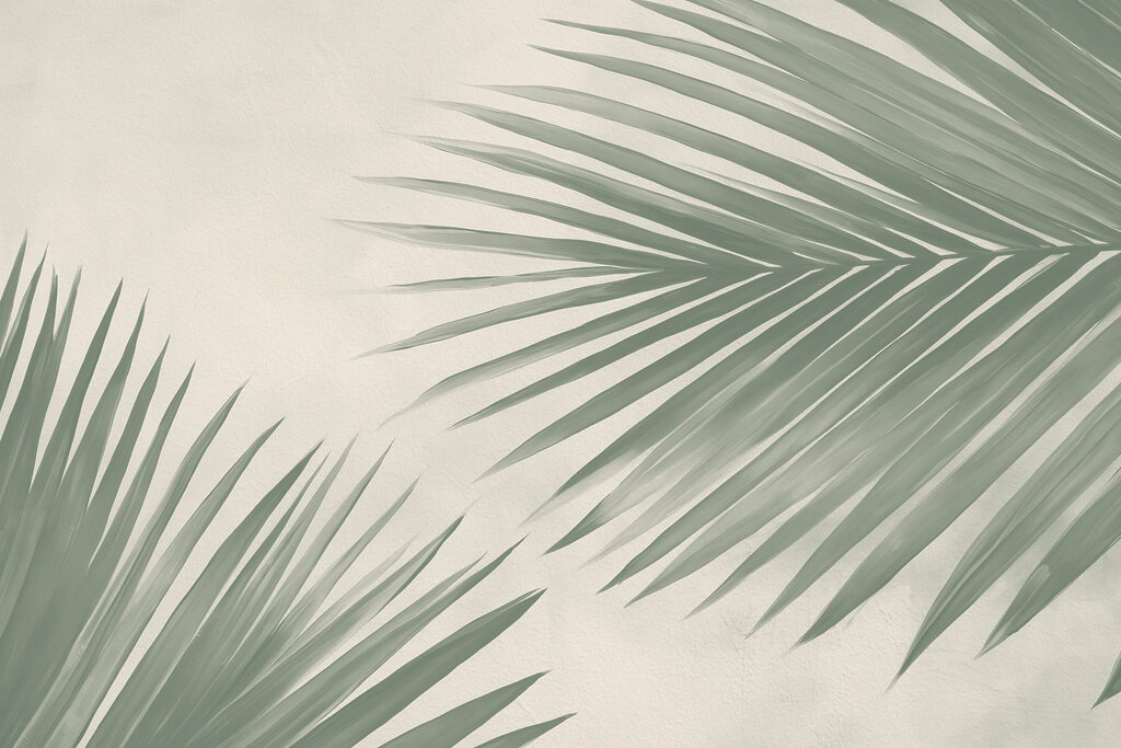 Hojas de palmera — diseño completo