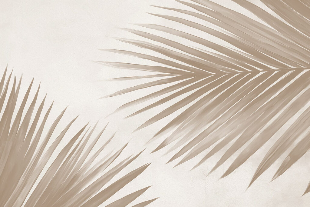 Hojas de palmera — diseño completo