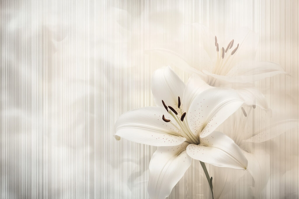 Lirios blancos tras rayas — diseño completo