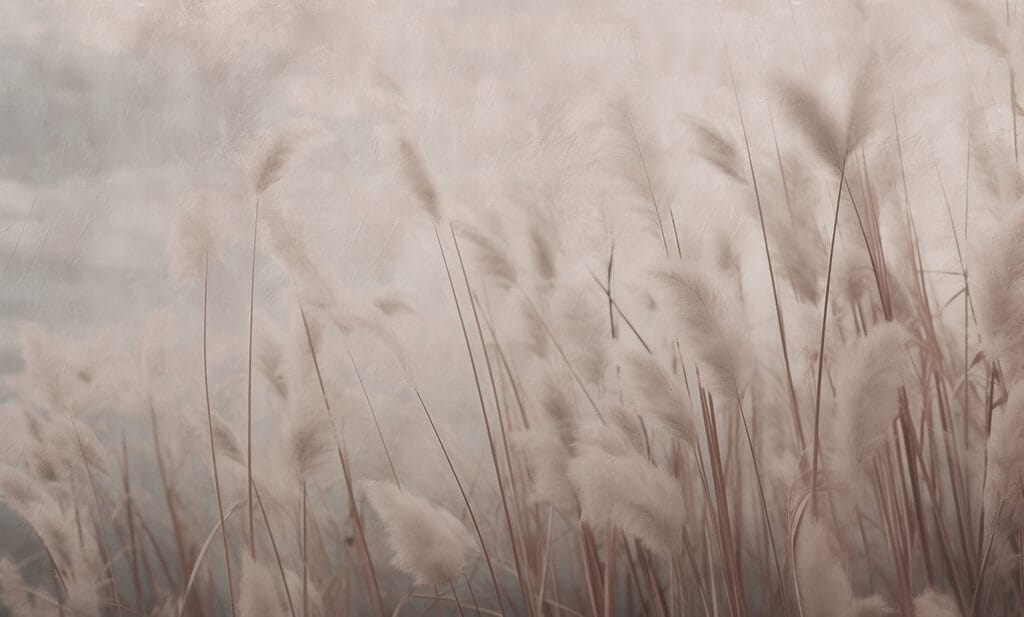 Hierba plumosa en taupe — diseño completo