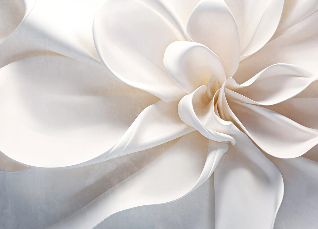 Pétalos blancos en espiral — diseño completo