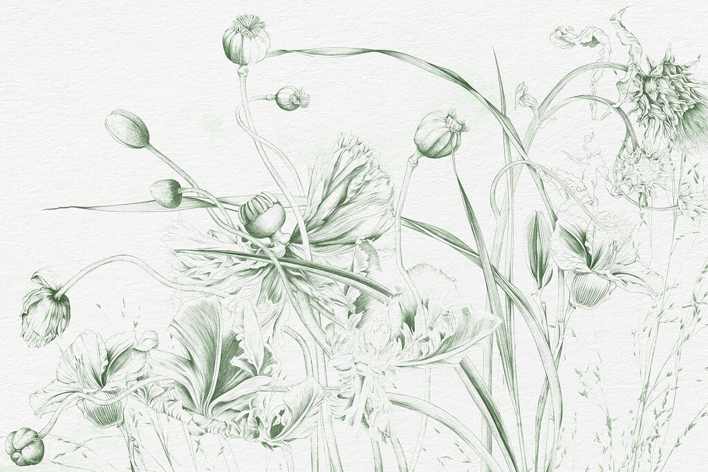 Flores silvestres a lápiz — diseño completo
