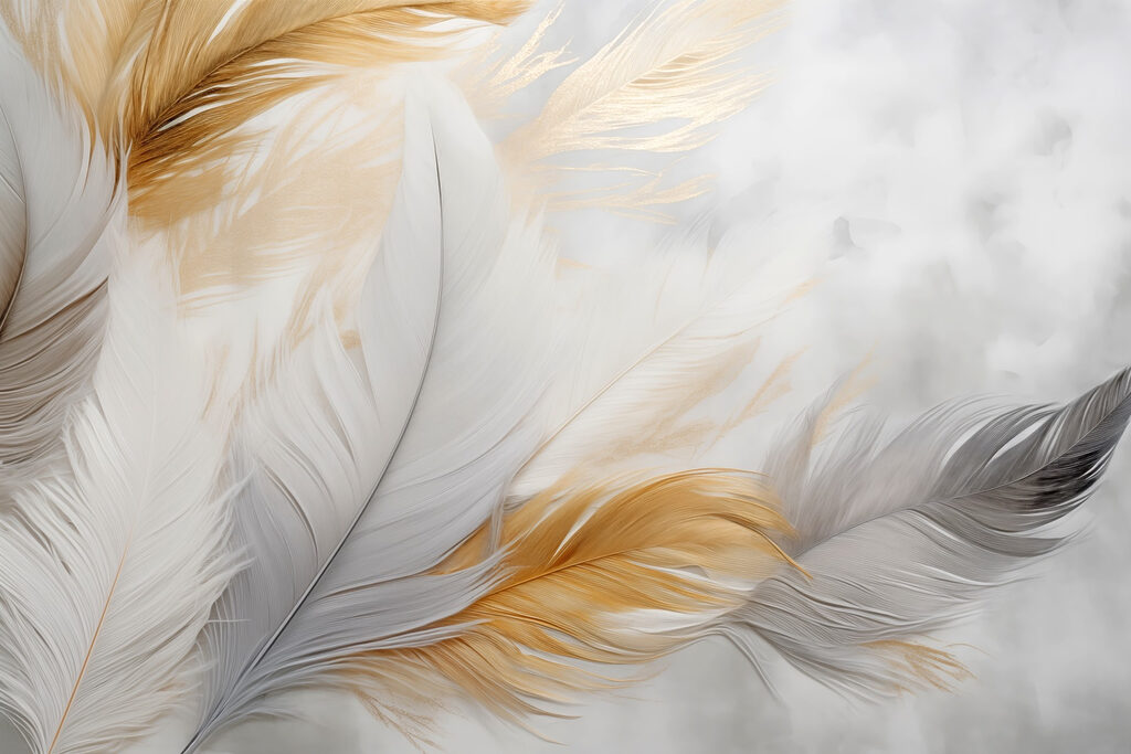 Plumas blancas y doradas — diseño completo