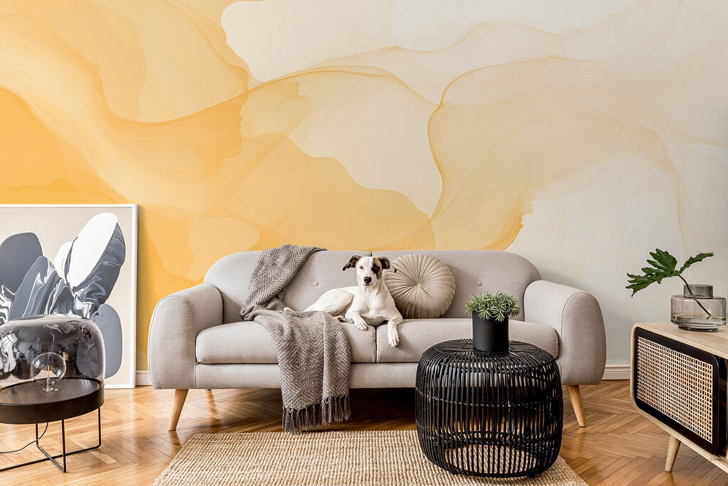 Velos de color — interior 3